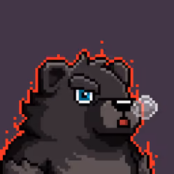 Kuma Cub#884
