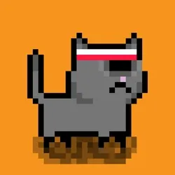 tiny cats #3024