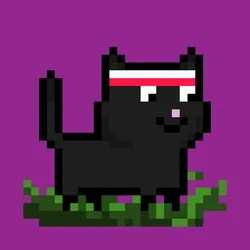 tiny cats #2316