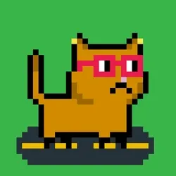 tiny cats #1762