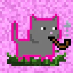 tiny cats #646
