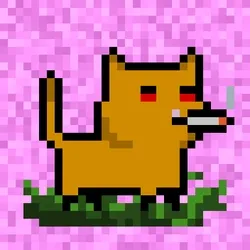 tiny cats #3492