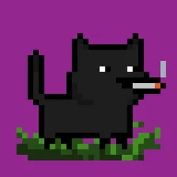 tiny cats #1765
