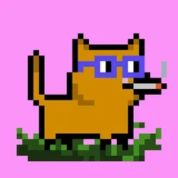 tiny cats #3004