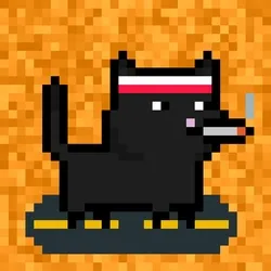 tiny cats #2326