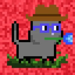 tiny cats #1637