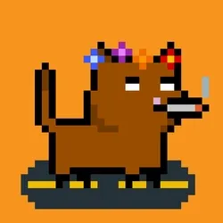 tiny cats #3703