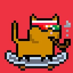 tiny cats #3517