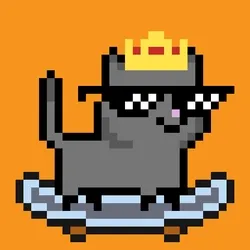 tiny cats #568