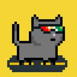tiny cats #1592