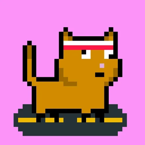 tiny cats #843