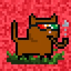 tiny cats #3935