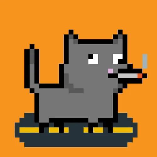 tiny cats #979