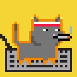 tiny cats #2621
