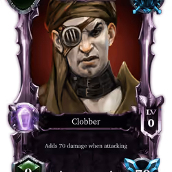 The Raider