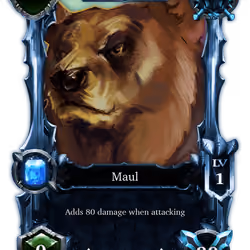 Bear