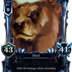 Bear