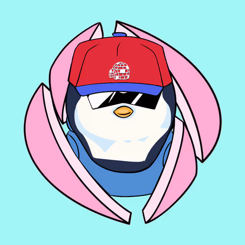 Ens Pudgy Penguin