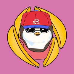 ENS Penguins #7539