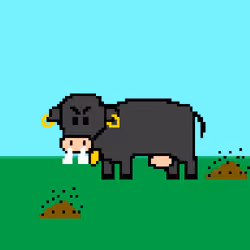 BitCow 312