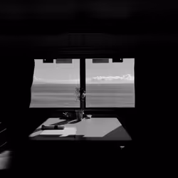 33