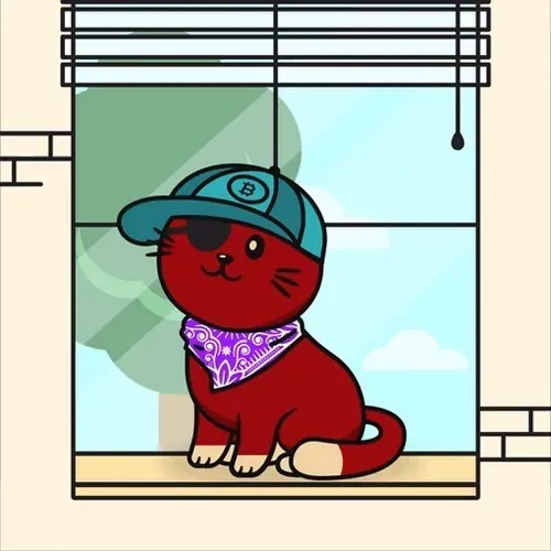 Anicatsworld