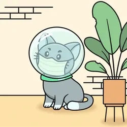 AniCat #703