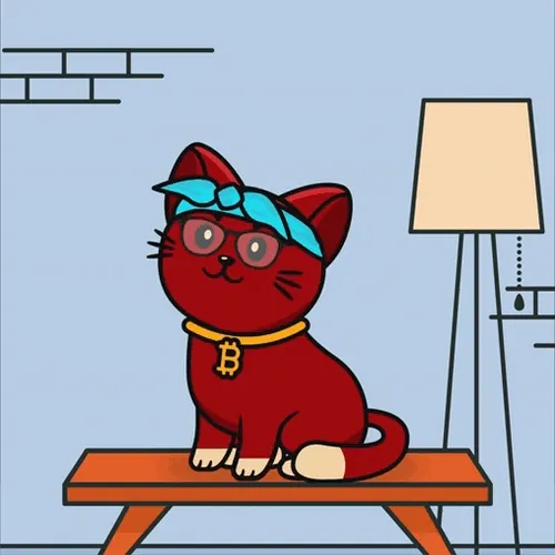 AniCat #896