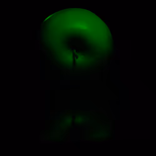 Jgro Be Photographer S Dna