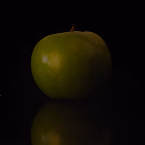 Jgro Be Photographer S Dna