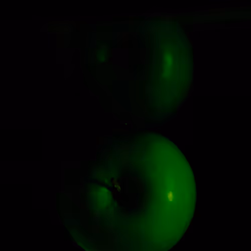 Jgro Be Photographer S Dna