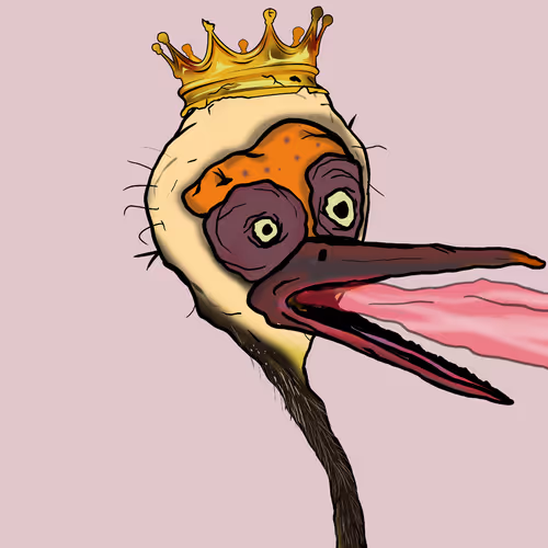 Florida Pelicans V2
