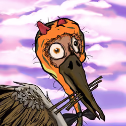 Florida Pelicans #1755