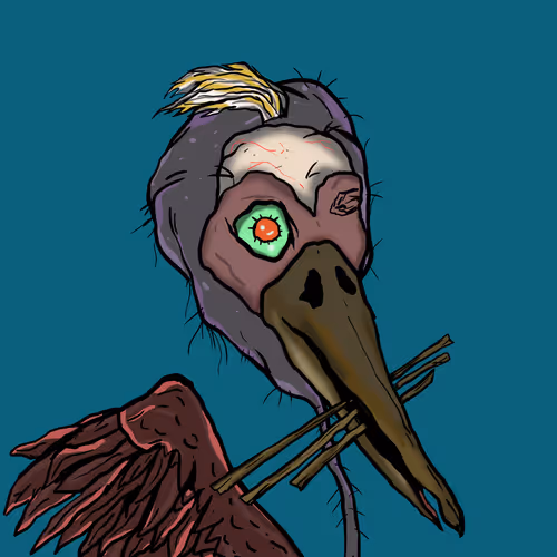 Florida Pelicans V2