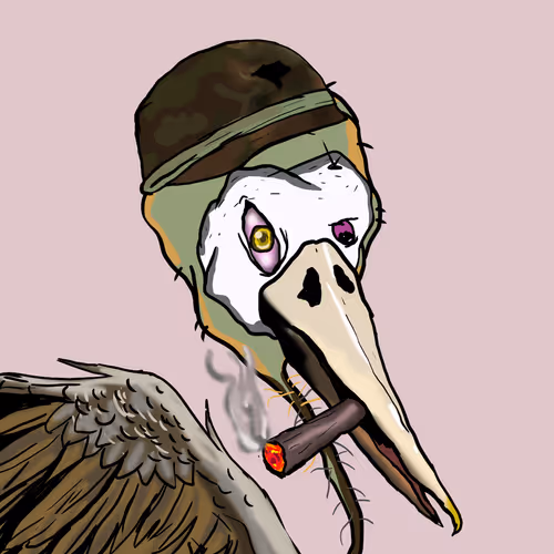 Florida Pelicans V2