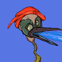Florida Pelicans #1654