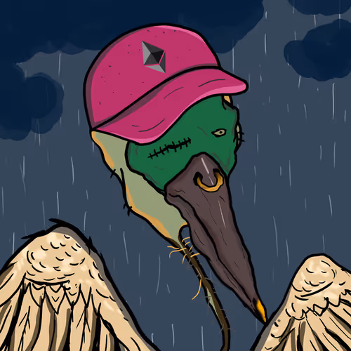 Florida Pelicans V2