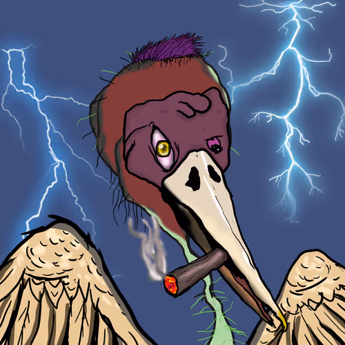 Florida Pelicans V2