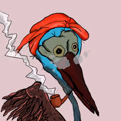 Florida Pelicans #1708