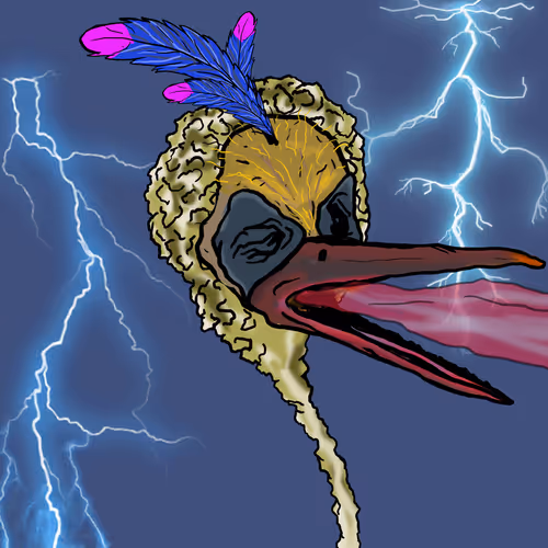 Florida Pelicans V2