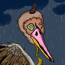 Florida Pelicans #1760
