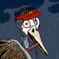 Florida Pelicans #1759