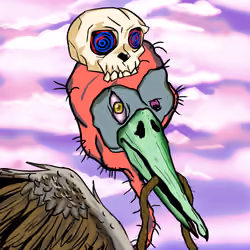 Florida Pelicans #1653