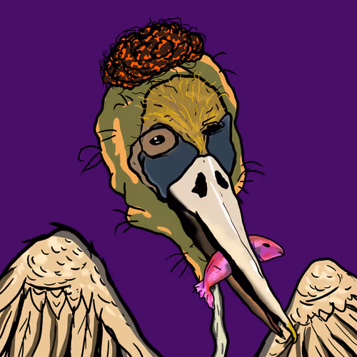 Florida Pelicans V2