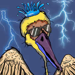 Florida Pelicans #1748