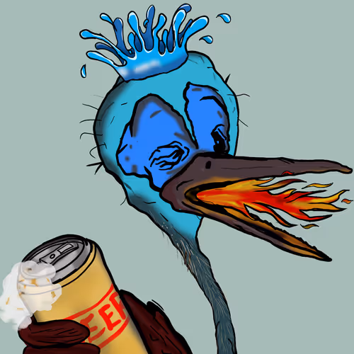 Florida Pelicans V2