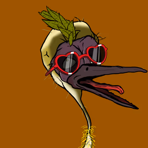 Florida Pelicans V2