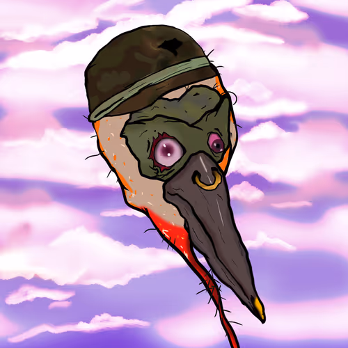 Florida Pelicans V2