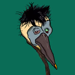Florida Pelicans #1889
