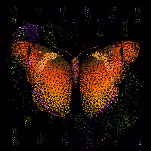 Monarch #857